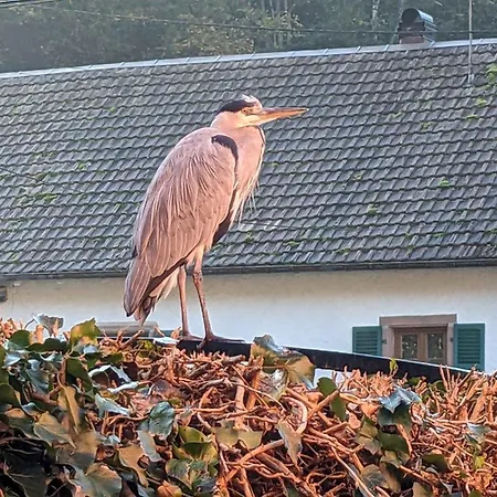 Appartamento Le Petit Moulin *